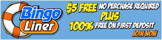 Bingo Liner - The Best in Online Gambling